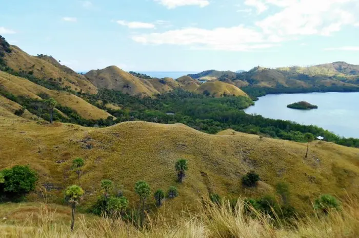 Most Popular Tourist Destinations in Labuan Bajo, Offering Captivating Natural Beauty and Marine Life