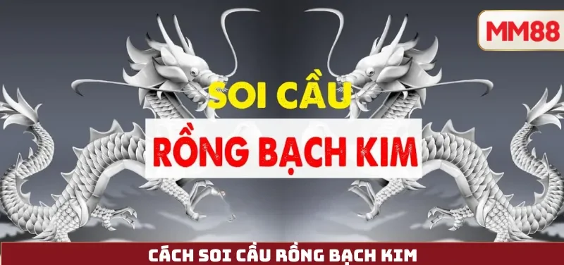 Cách Soi Cầu Rồng Bạch Kim – Hiểu Đúng Dữ Liệu, Tránh Ngộ Nhận Và Chơi Có Trách Nhiệm Cùng MM88 2 Cách Soi Cầu Rồng Bạch Kim