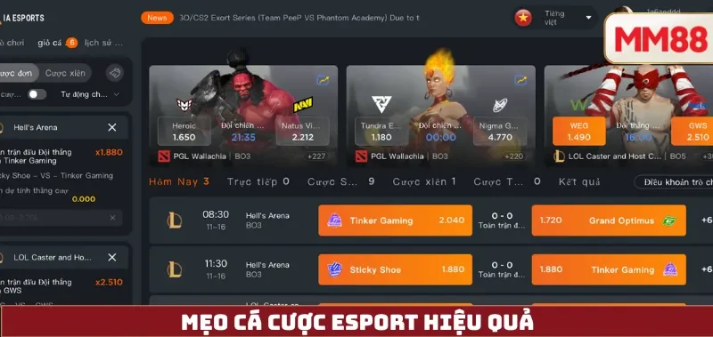 Mẹo Cá Cược eSport Hiệu Quả